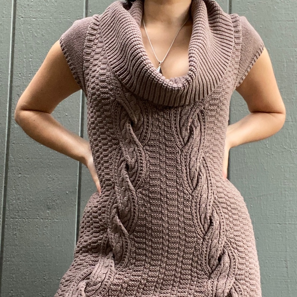 Express Turtleneck Knit Dress